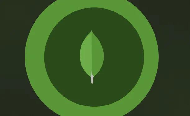 How to Hire a Best MongoDB Experience Developer