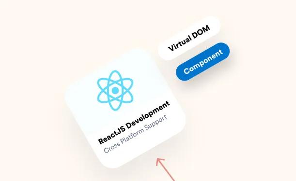 Best ReactJs Developers